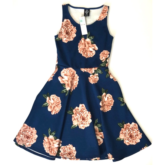 agnes and dora fit and flare dress